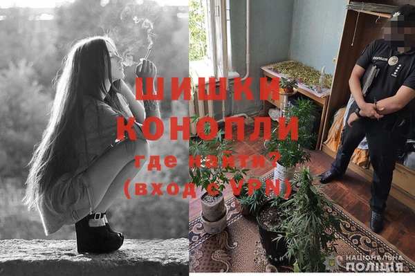 гидропоника Алзамай