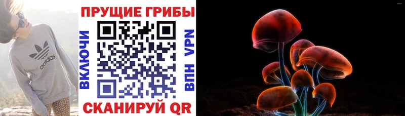 Галлюциногенные грибы MAGIC MUSHROOMS  Кудрово 